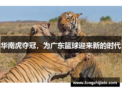 华南虎夺冠，为广东篮球迎来新的时代